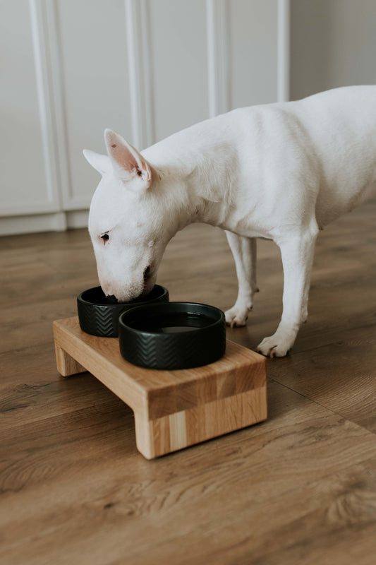 Futternapfständer aus Massivholz für Hunde