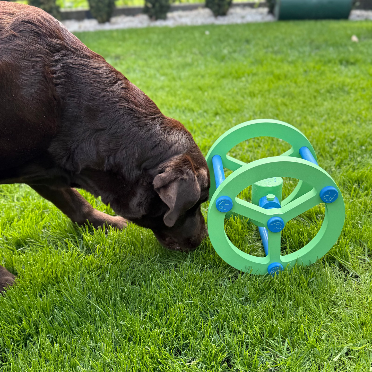 Hund Roll & Treat – Interactive Dog Treat Toy