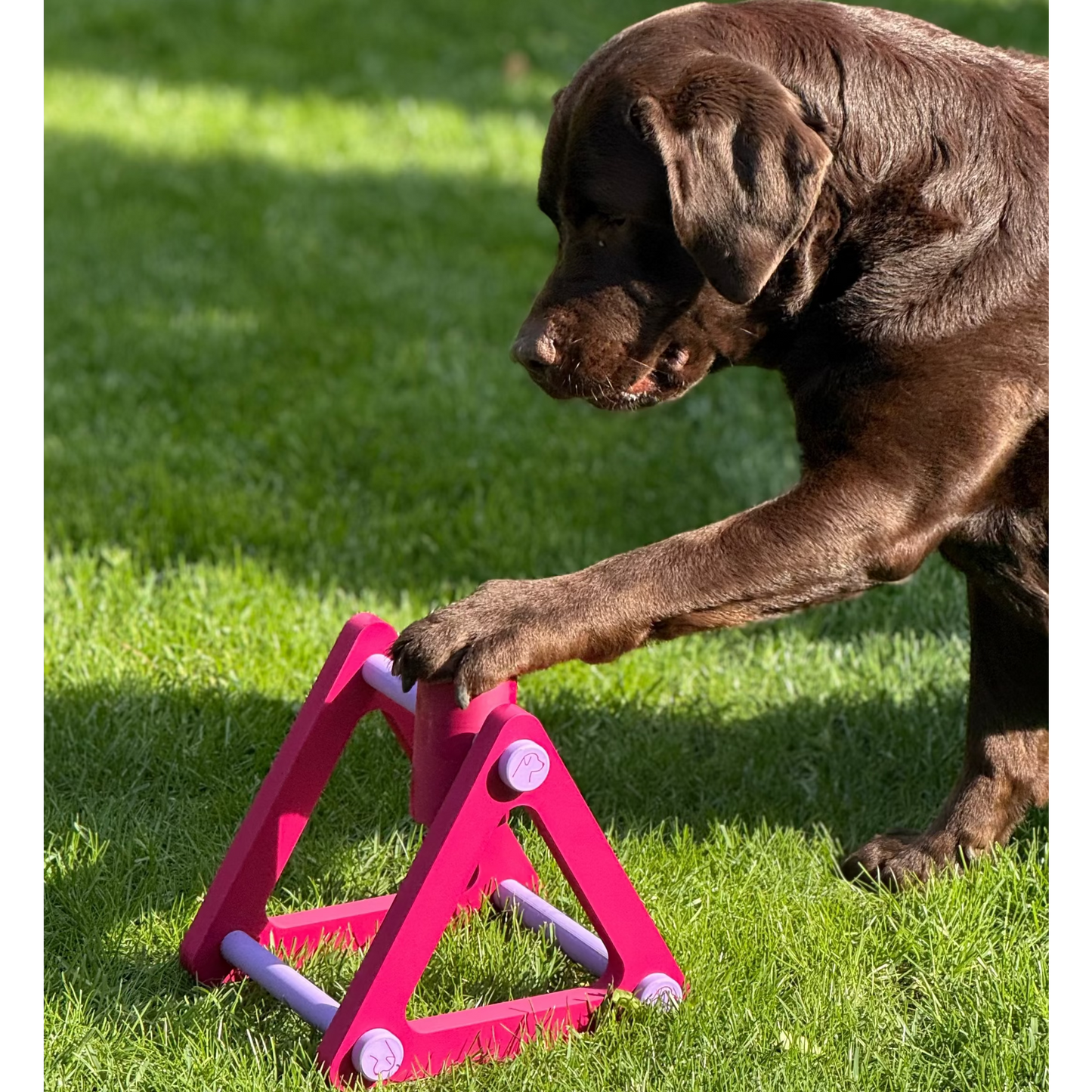 Hund Spin & Treat – interactive dog treat toy