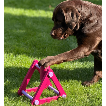 Hund Spin & Treat – interaktives Spielzeug für Hundeleckerlis